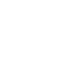 logo footer